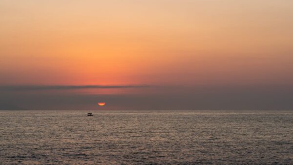 Puerta Vallarta-The Wellness Escape