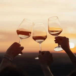 Fredericksburg Wine Escape